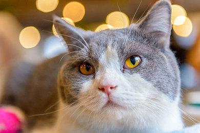 《最终幻想7：重生》试玩版更新 新可玩内容上线